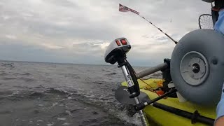 Trolling motor on compass kayak Watersnake T24 side mount on the water reviewtests  SEA BASS [upl. by Horowitz]