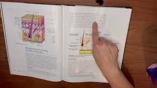 Milady CimaStandard Esthetics Chapter 3 Physiology and Histology of the Skin [upl. by Dex]