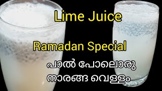 പാൽ നാരങ്ങ വെള്ളം Lemon Juice recipie MalayalamLime juice recipie Naranga Vellam [upl. by Nav1]