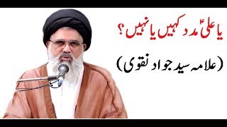 Agha Jawad Naqvi about quotYa Ali madadquot  یا علیؑ مدد کی دلیل  Wisdom Way [upl. by Higginbotham561]