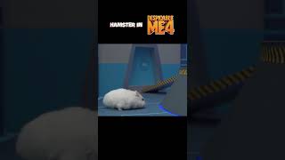 Hamster Adventures In Despicable Me 4 Part 2 [upl. by Wayolle]