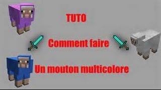 comment faire un mouton qui change de couleur à linfinie MINECRAFT TUTO [upl. by Antonietta]