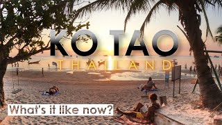 Ko Tao Thailand 🇹🇭  Whats it Like Now Watch Before You Go  Thailand Travel [upl. by Ihsar12]