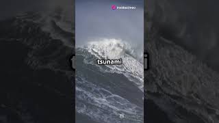 2011 Japan Tsunami The Tragedy and the Fukushima Nuclear Disaster  Historic Mysteries [upl. by Anonyw]