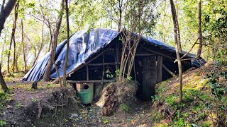 2 Year Alone Building a Survival Shelter in the Forest [upl. by Sikleb]