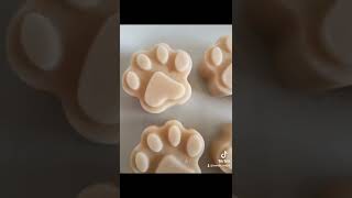 Ricetta premietto gelato per cani [upl. by Narda]