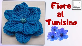 FIORE FACILISSIMO  UNCINETTO TUNISINO TUTORIAL IN DIRETTA [upl. by Bethesda]