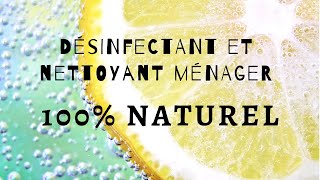 Nettoyant et désinfectant ménager 100 naturel DIY [upl. by Enymzaj237]