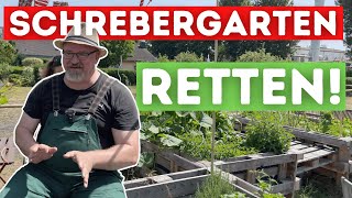 Garten Vlog 57 Schrebergarten Idylle bedroht  Hochbeete zur Kleingarten Rettung in Berlin [upl. by Card169]