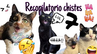 Recopilatorio Chistes BlacMisy 7 [upl. by Roxie]