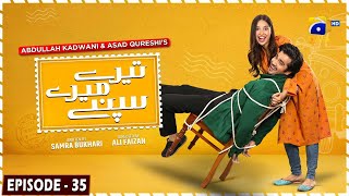 Tere Mere Sapnay Mega Episode 35  Eng Sub  Shahzad Sheikh  Sabeena Farooq  11th April 2024 [upl. by Signe981]