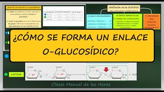 Enlace O Glucosídico alfa y beta Disacáridos Glúcidos Biomoléculas Biología [upl. by Eimmot]