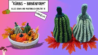 16 quotKürbis  Birnenform häkeln  Anfängertauglichquot 🎃😁 häkeln kürbis pumpkin [upl. by Esyak]