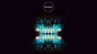 Bonobo  The North Borders Tour Live FULL ALBUM [upl. by Danica]