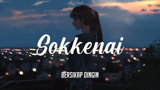 RADWIMPS  Sokkenai「️そっけない」 Cover by Kobasolo  Lyric amp Terjemahan [upl. by Nelo]