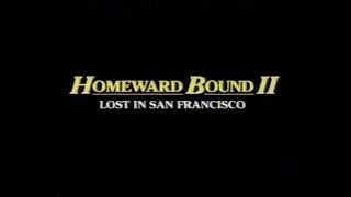 Homeward Bound 2 Lost In San Francisco commercial 1996 [upl. by Wiencke]