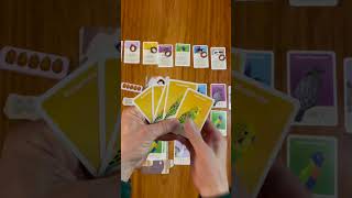 Busy Beaks – Family Card Game in 60 Seconds [upl. by Griffith]