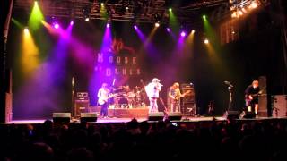 Highway to Hell The Ultimate ACDC Tribute Band at House of Blues Orlando [upl. by Yeuh]