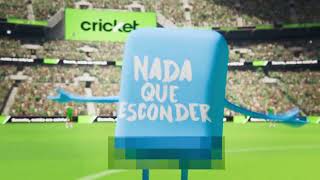 Cricket Wireless – Streaker [upl. by Luther551]