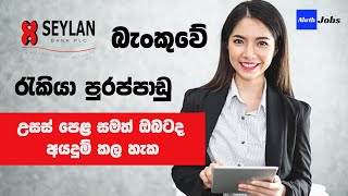 Seylan Bank Job Vacancies in Sri Lanka  Seylan Bank Internships [upl. by Jane]