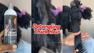 How to Detangle Thick Natural Hair [upl. by Mosora]