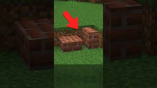 Vertical Slabs in Minecraft no mods [upl. by Harbert136]