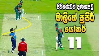 Lasith Malinga  පිතිකරුවන් දණගැස්වූ මාලිගේ සුපිරි යෝකර් පන්දු 11  ikka slk [upl. by Llevel177]