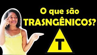 O QUE SÃO TRANSGÊNICOS [upl. by Ethelbert]