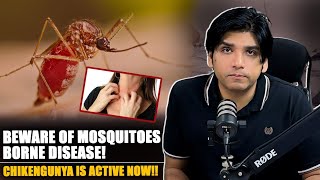 New MosquitoBorne Disease Like Dengue  Precautions You Must Take [upl. by Hultin]