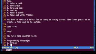 Vim Tutorial  Code Folding Manual Method [upl. by Dirgis417]