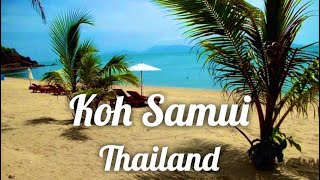 Koh Samui Thailand VLog part 2 [upl. by Alywt]