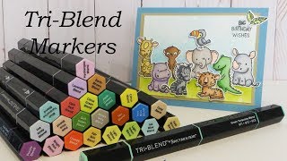 Spectrum Noir TriBlend Marker Review amp Coloring Tutorial [upl. by Eneiluj324]