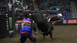 Professional Bull Riding 5 rules to know [upl. by Brottman]