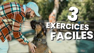 3 EXERCICES FACILES pour votre chien [upl. by Peer]