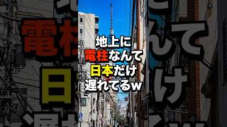 「日本は遅れてる！」フランス人が日本の電柱の存在理由を知った結果…海外の反応 [upl. by Aehcim579]