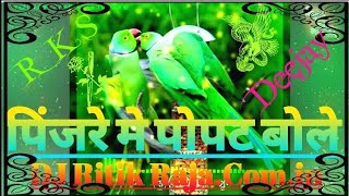 Pinjare Me Popat Bole Remix By DJ Ritik RajaComin [upl. by Odlo296]