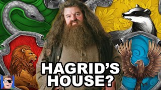 Hagrid the Professor [upl. by Ziom]