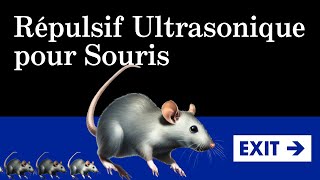 Chassez les souris avec des ultrasons puissants Non compatible avec iPhone [upl. by Ettennej]