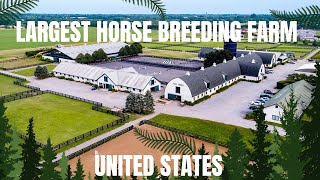 LARGEST Horse Breeding Farm United States  Horse Breeding secretanimals secretanimals [upl. by Florence]