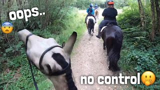 little bit of chaos on a fun ride😆  GOPRO  equinemollie [upl. by Enialed931]