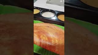 Milma veg restaurant  kochi [upl. by Thorley]