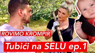 Tubici na SELU ep1 Rovimo KROMPIR  PRVI PUT NA NJIVI [upl. by Ayatnohs572]