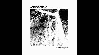 ACIPENSERIDAE  Life Is Meaningless Full Album 2024 Harsh NoiseExperimental [upl. by Blader]