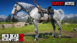 All 5 Rare Appaloosa Horses Location amp Rankings  RDR 2 [upl. by Ynnor]