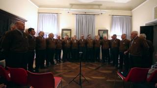 STELUTIS ALPINIS  CORO DELLA SAT [upl. by Annavas120]