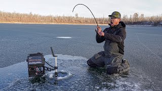 FIRST ICE Fishing for Perch and Walleyes with GARMIN LIVESCOPE [upl. by Neddra]