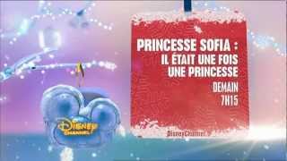 Disney Channel HD France  Christmas Continuity 2012 [upl. by Yntrok931]