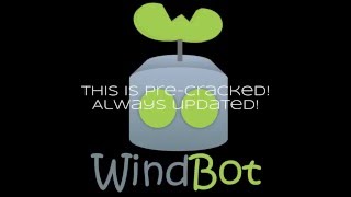 WindBot free crack All versions working updated Tibia 11 battleye bypass [upl. by Eillim279]