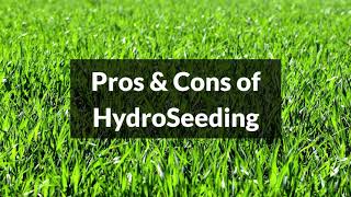 Hydroseeding Pros and Cons [upl. by Oilerua69]