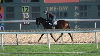 CTRC Racing News Santa Anita synthetic [upl. by Arykat]